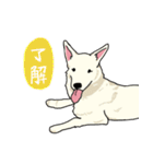 おしずスタンプ（個別スタンプ：19）