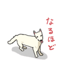 おしずスタンプ（個別スタンプ：24）