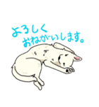 おしずスタンプ（個別スタンプ：27）