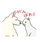 おしずスタンプ（個別スタンプ：31）