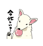 おしずスタンプ（個別スタンプ：39）