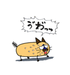 筒猫（個別スタンプ：1）