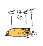 筒猫（個別スタンプ：21）