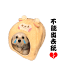 Mandy's sweetie（個別スタンプ：1）