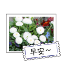 Flower photo greeting card (chinese)（個別スタンプ：1）