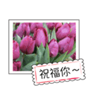 Flower photo greeting card (chinese)（個別スタンプ：2）