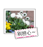 Flower photo greeting card (chinese)（個別スタンプ：4）