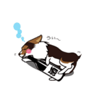 陸くんとツンデレ海ちゃん（個別スタンプ：20）