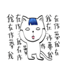 Bangs Cat:boy B（個別スタンプ：10）