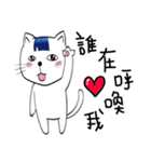 Bangs Cat:boy B（個別スタンプ：28）