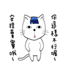 Bangs Cat:boy B（個別スタンプ：37）