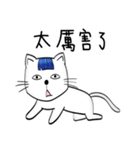 Bangs Cat:boy B（個別スタンプ：40）
