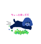 トイプードル犬ベリーの可愛い日常スタンプ（個別スタンプ：30）