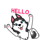 Lovely siberian husky dog（個別スタンプ：1）