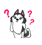 Lovely siberian husky dog（個別スタンプ：5）