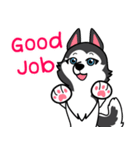 Lovely siberian husky dog（個別スタンプ：7）