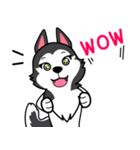 Lovely siberian husky dog（個別スタンプ：11）