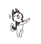 Lovely siberian husky dog（個別スタンプ：23）