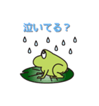 日々是好日なカエル（個別スタンプ：6）