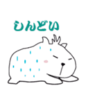 白いカピバラ（関西弁）（個別スタンプ：17）