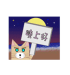 Carton animals-Cats articles(dynamic)（個別スタンプ：12）
