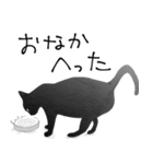 【黒猫】命！漫画風スタンプ（個別スタンプ：5）