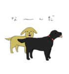 犬コワイ（個別スタンプ：16）
