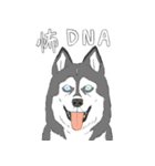 犬コワイ（個別スタンプ：17）