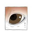 犬コワイ（個別スタンプ：22）
