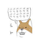 犬コワイ（個別スタンプ：36）