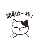The Cats,we like to playing games（個別スタンプ：26）