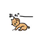 柴犬 たわしとへちま2（個別スタンプ：21）