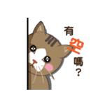 HELLO Meow（個別スタンプ：1）