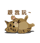 HELLO Meow（個別スタンプ：2）