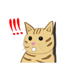 HELLO Meow（個別スタンプ：3）