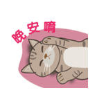 HELLO Meow（個別スタンプ：4）