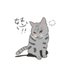 HELLO Meow（個別スタンプ：6）