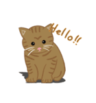 HELLO Meow（個別スタンプ：7）