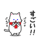 まふらーにゃんこ（個別スタンプ：19）