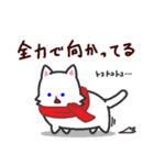 まふらーにゃんこ（個別スタンプ：20）