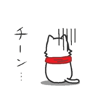 まふらーにゃんこ（個別スタンプ：29）