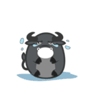 buffalo cute（個別スタンプ：12）