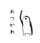細長いペンギンたち（個別スタンプ：4）