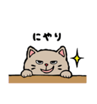 手描き風のグレーのねこちゃん（個別スタンプ：19）