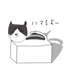 ねこのみそたん（個別スタンプ：5）