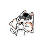 Khawpan The cat（個別スタンプ：35）