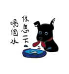 The little black dog in the hometown（個別スタンプ：21）