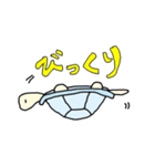 かめと海のいきもの（個別スタンプ：2）