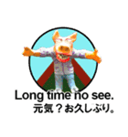ほっこりざっくりお茶目な3Dぶたピグトン（個別スタンプ：4）
