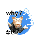 ほっこりざっくりお茶目な3Dぶたピグトン（個別スタンプ：9）